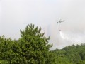 Превью Пожар в Челябинской области локализован